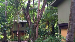 A lush garden with a building surrounded by dense foliage and trees. - Puerto Barillas Marina & Lodge (Usulutan)
