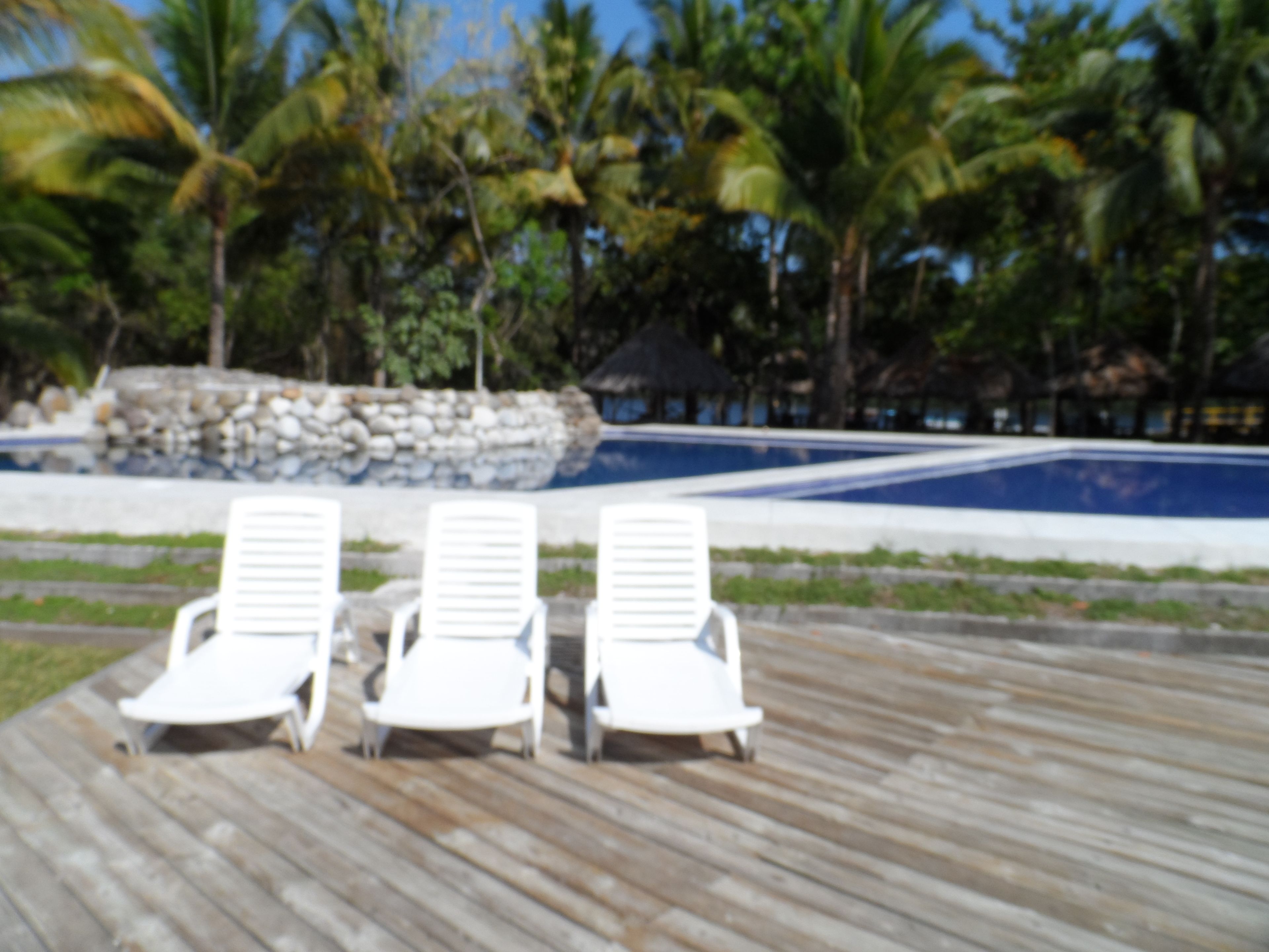 Une terrasse en bois avec des chaises longues blanches et un espace piscine agrémenté de palmiers en arrière-plan.