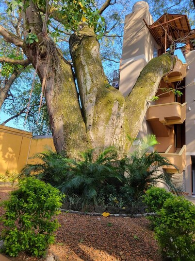 Hotel Real Guanacaste