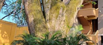 Hotel Real Guanacaste