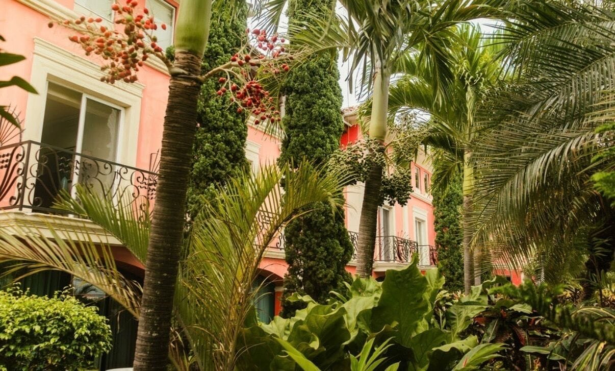 Habitación junior con 2 camas individuales | Terraza o patio