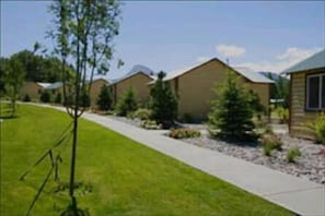 A row of single-story houses with a well-maintained lawn and a gravel path.