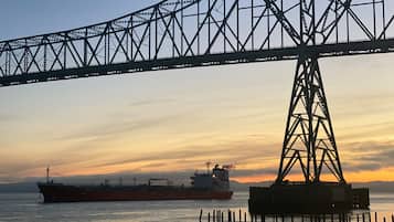 Un gran carguero amarrado en un muelle, con un puente al fondo.