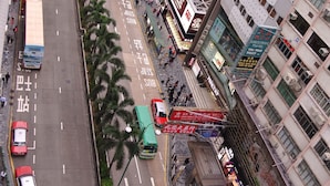 A multi-level urban street with a bus lane, palm trees, and various commercial buildings. - Fortunate Guest House (Kowloon)