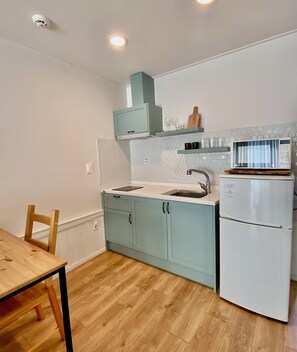 Dúplex | Cocina privada | Frigorífico pequeño, microondas, placa de cocina y hervidor eléctrico