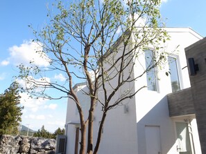 Esterni