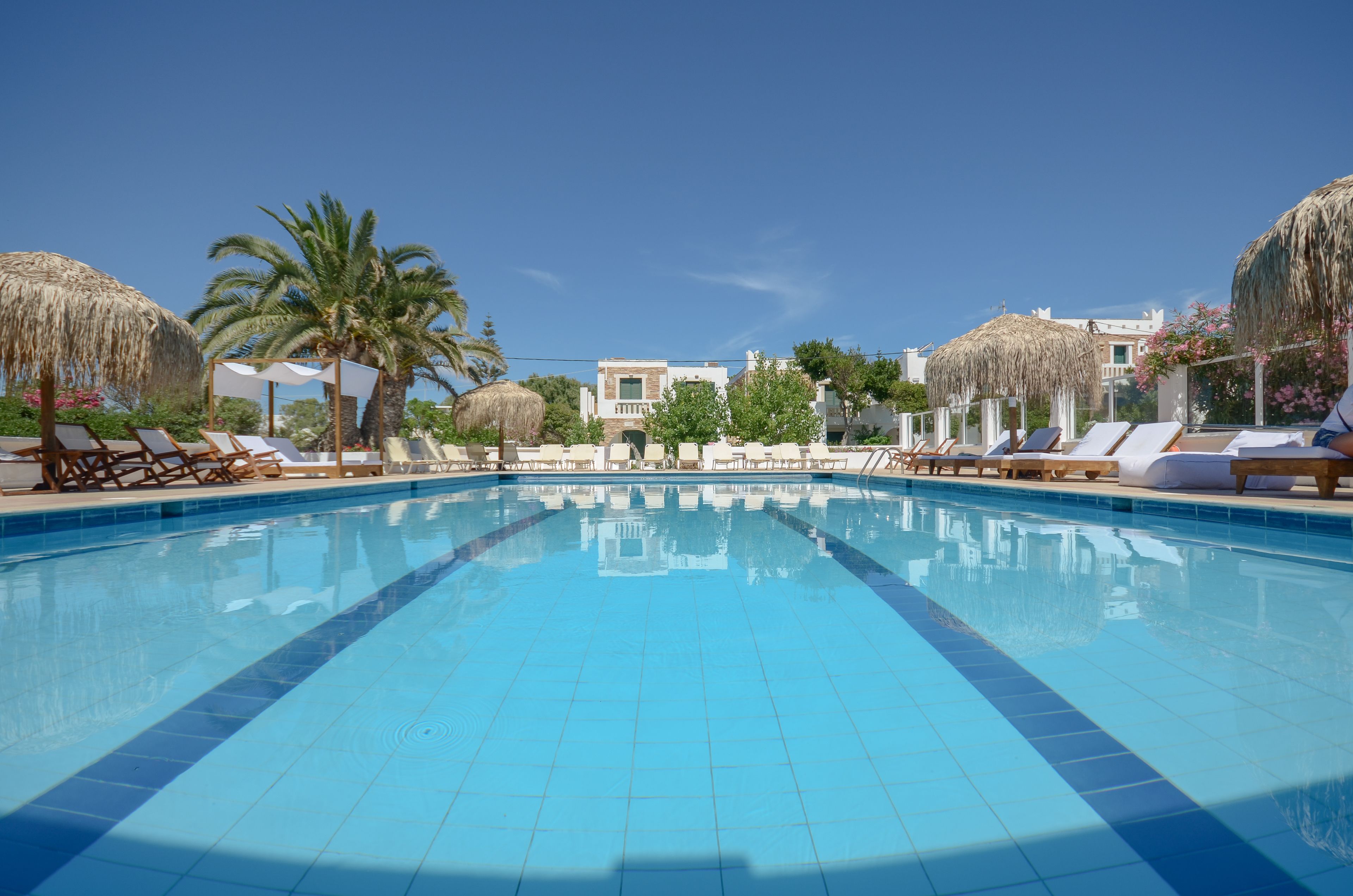 Una piscina con sillones de descanso y palmeras.