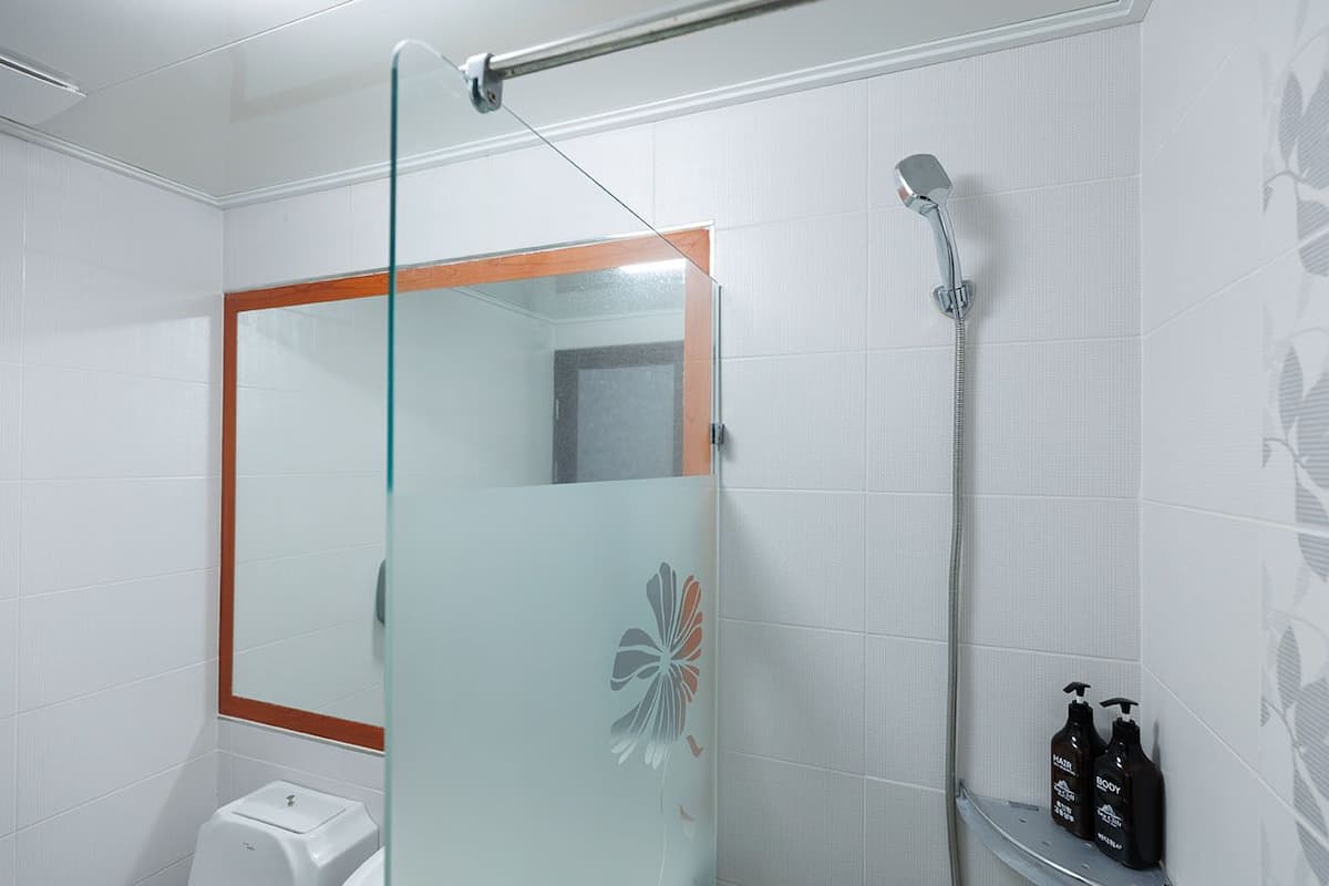 Shower, free toiletries, hair dryer, slippers