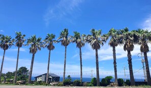 Detalle del exterior