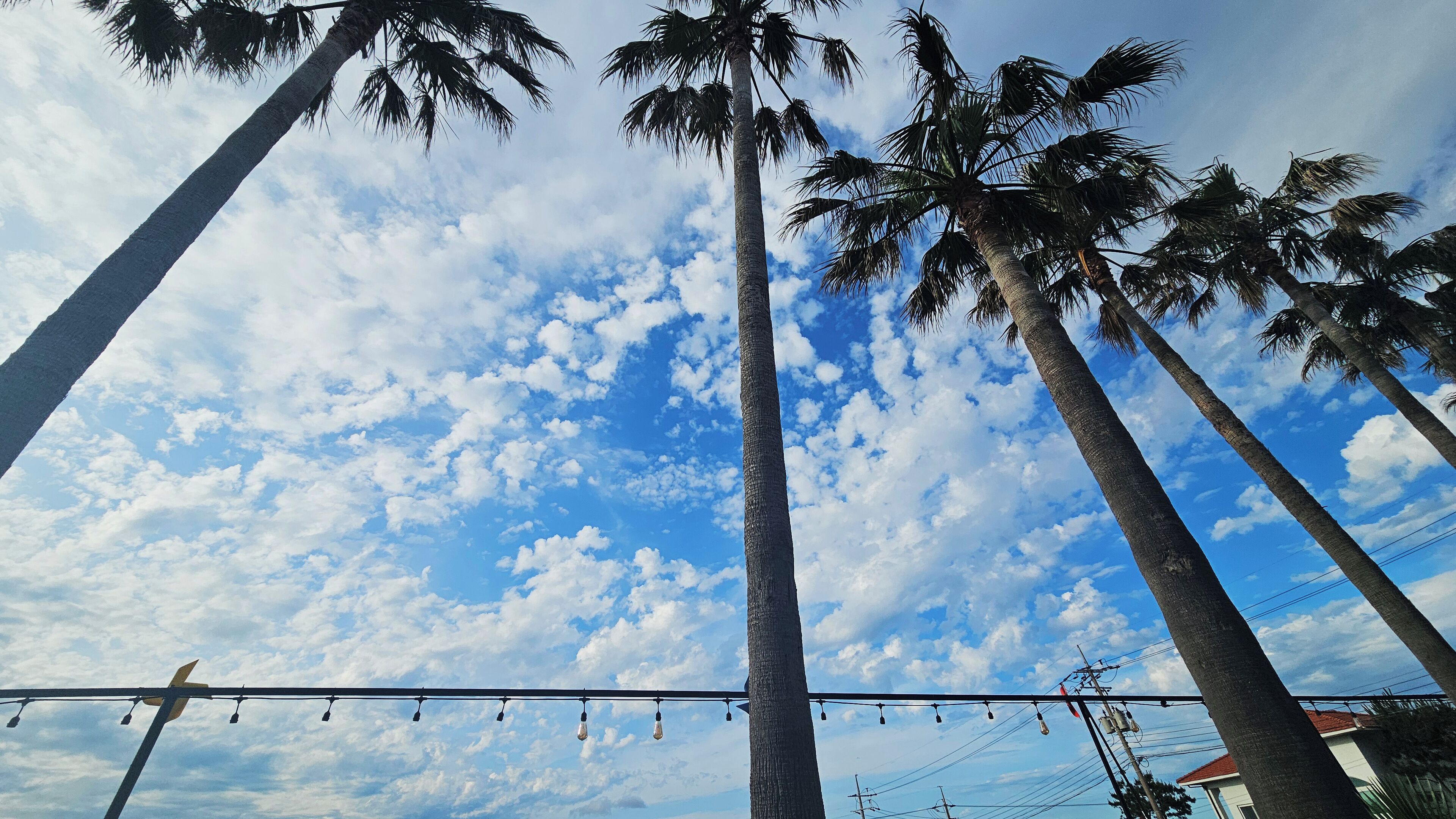 Foto - Sea Cliff Hotel Jeju