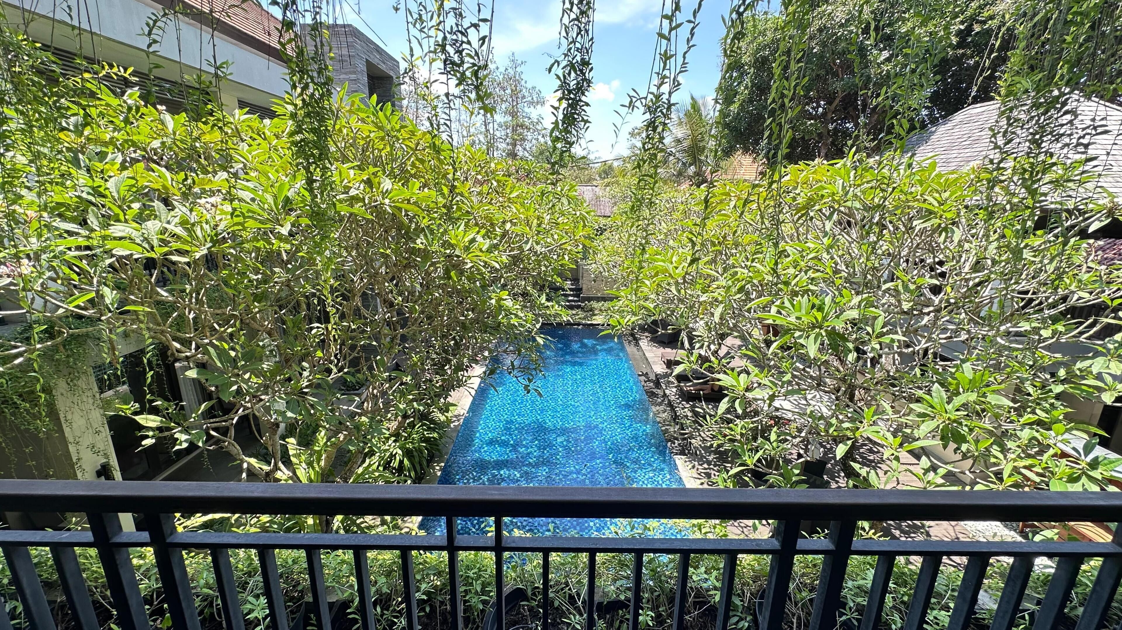 Suite Exécutive | Terrasse/Patio