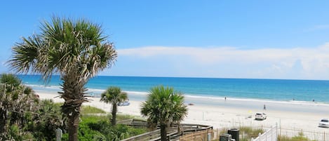 A beach view with a pool, palm trees, and a wooden fence.