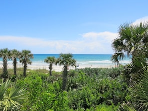 A beach with palm trees and a clear view of the ocean. - New Smyrna MOD Collection by Sonesta (New Smyrna Beach)