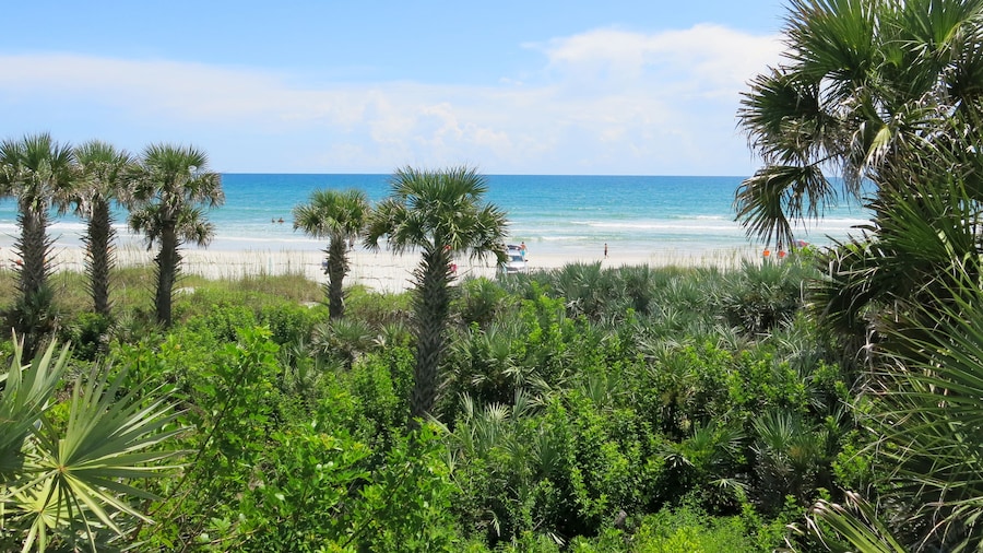 New Smyrna MOD Collection by Sonesta