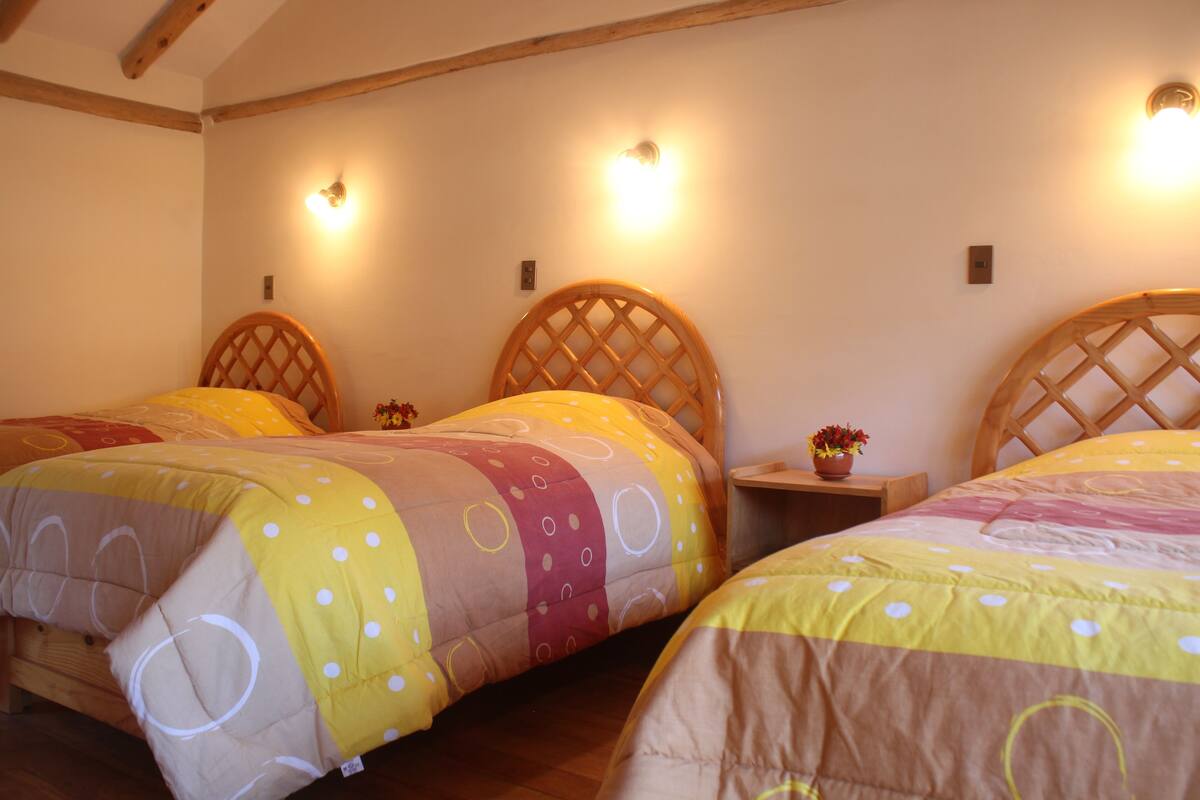 Una habitación con dos camas, cada una con cabecero de madera y cubrecama colorido. Hay luces fijadas en la pared sobre cada cama.