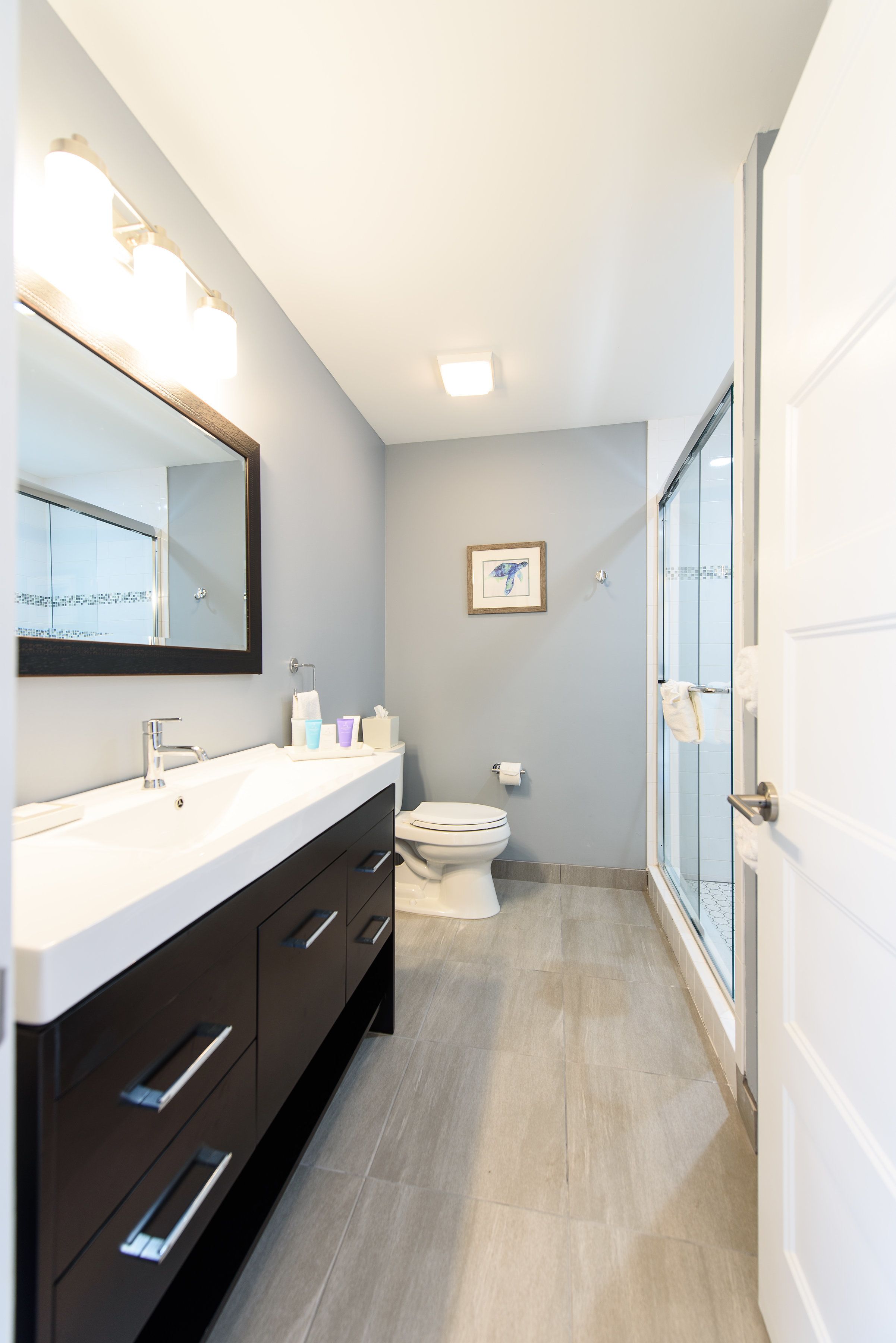 shower, rainfall showerhead, free toiletries, hair dryer