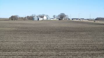A vast, open field with a few buildings in the distance.