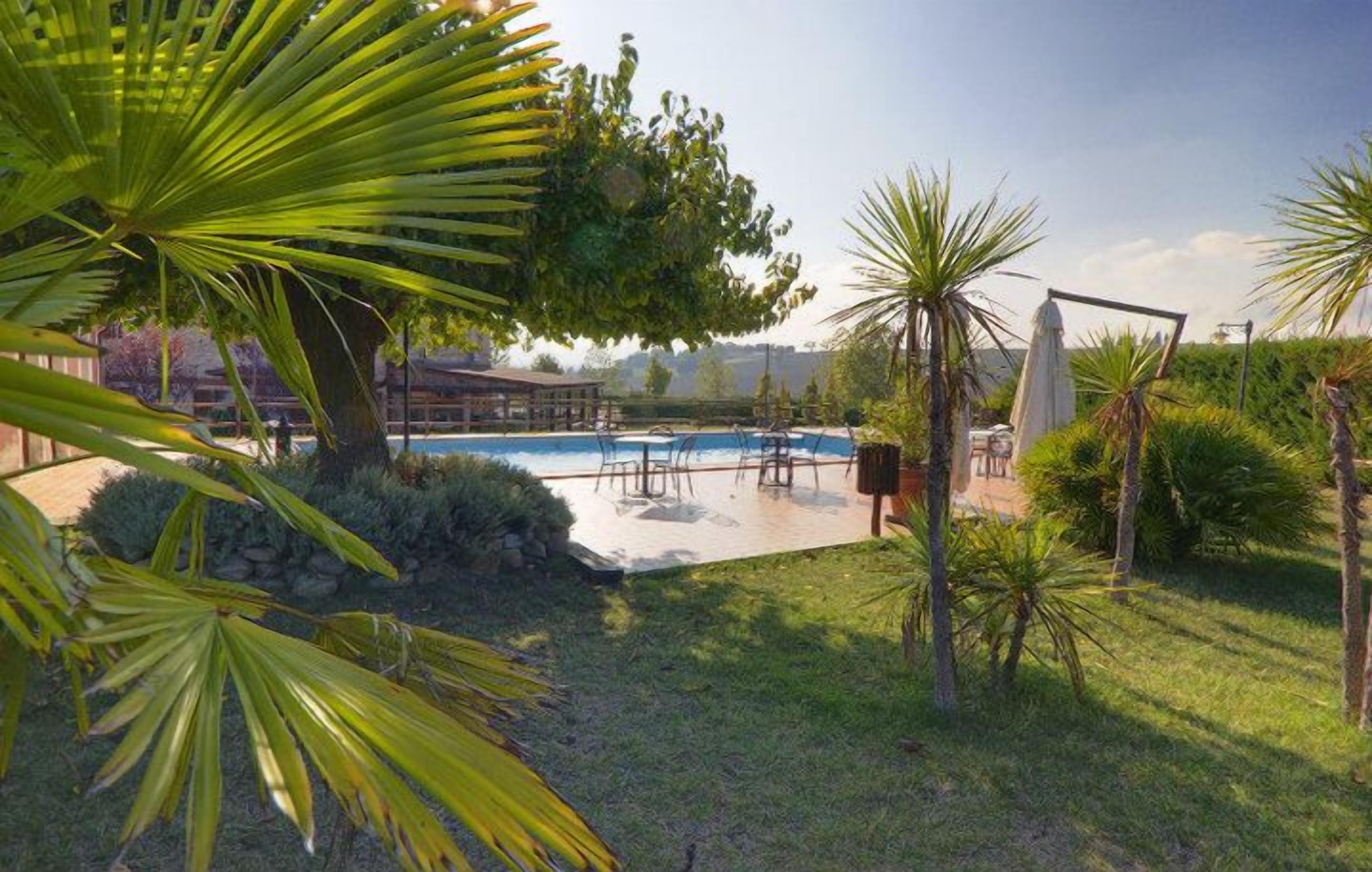 A pool area with chairs and umbrellas, surrounded by palm trees and a grassy lawn.