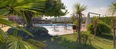 A pool area with chairs and umbrellas, surrounded by palm trees and a grassy lawn.