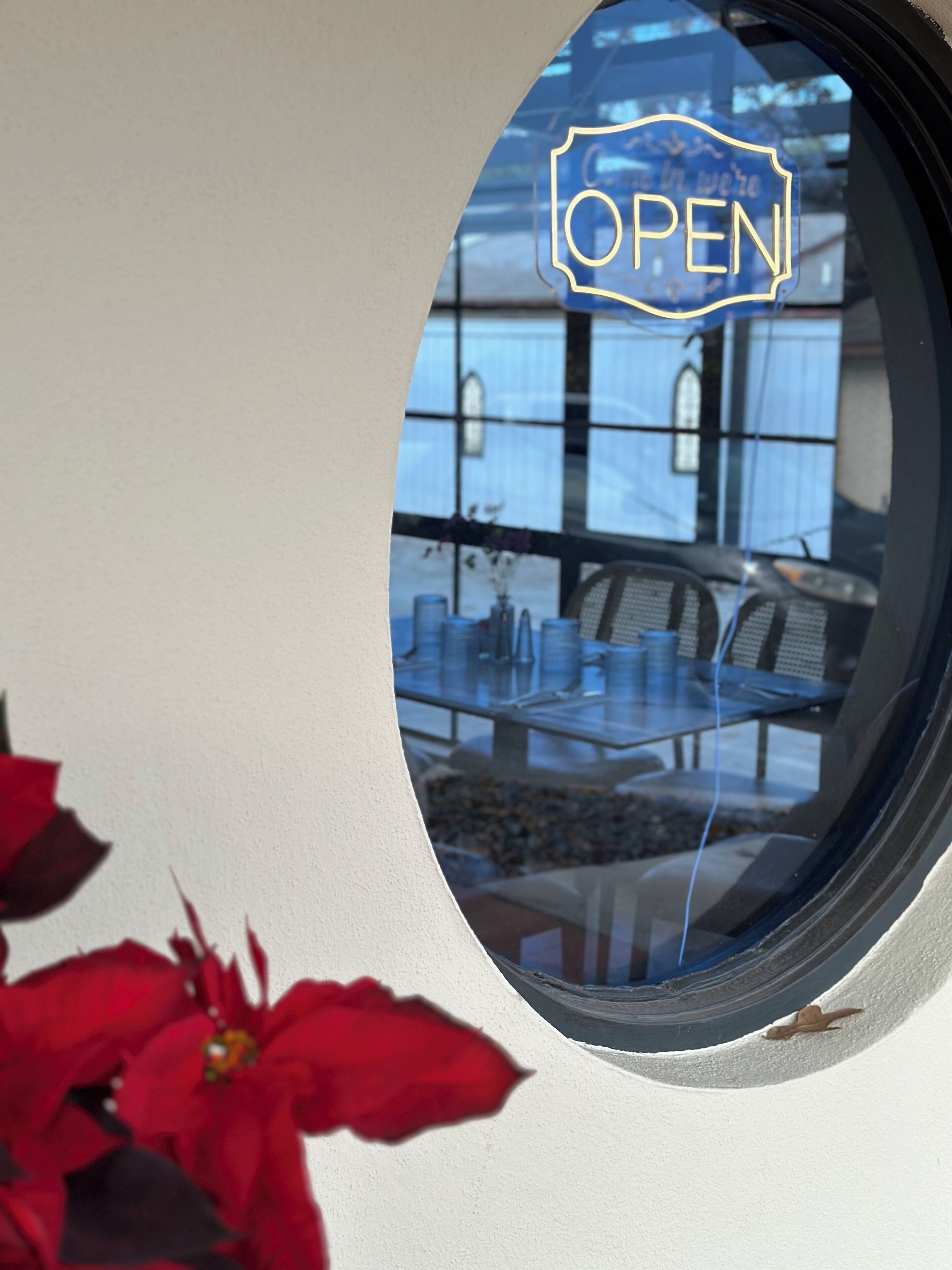 Ein Fenster mit Spiegelung einer Essecke, ein Schild mit der Aufschrift 'OPEN' und ein Blumentopf mit roten Blüten.