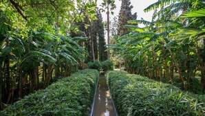 Jardín