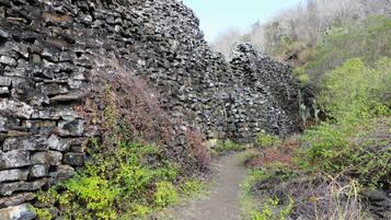 A stone wall with a narrow path beside it.