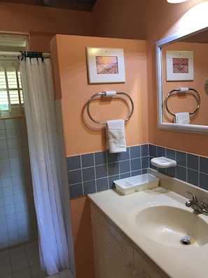 Shower, free toiletries, hair dryer, towels - Sugarapple Inn (Bequia Island)
