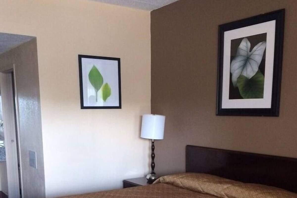 A hotel room with a large bed, a nightstand with a lamp, and two framed pictures on the wall.
