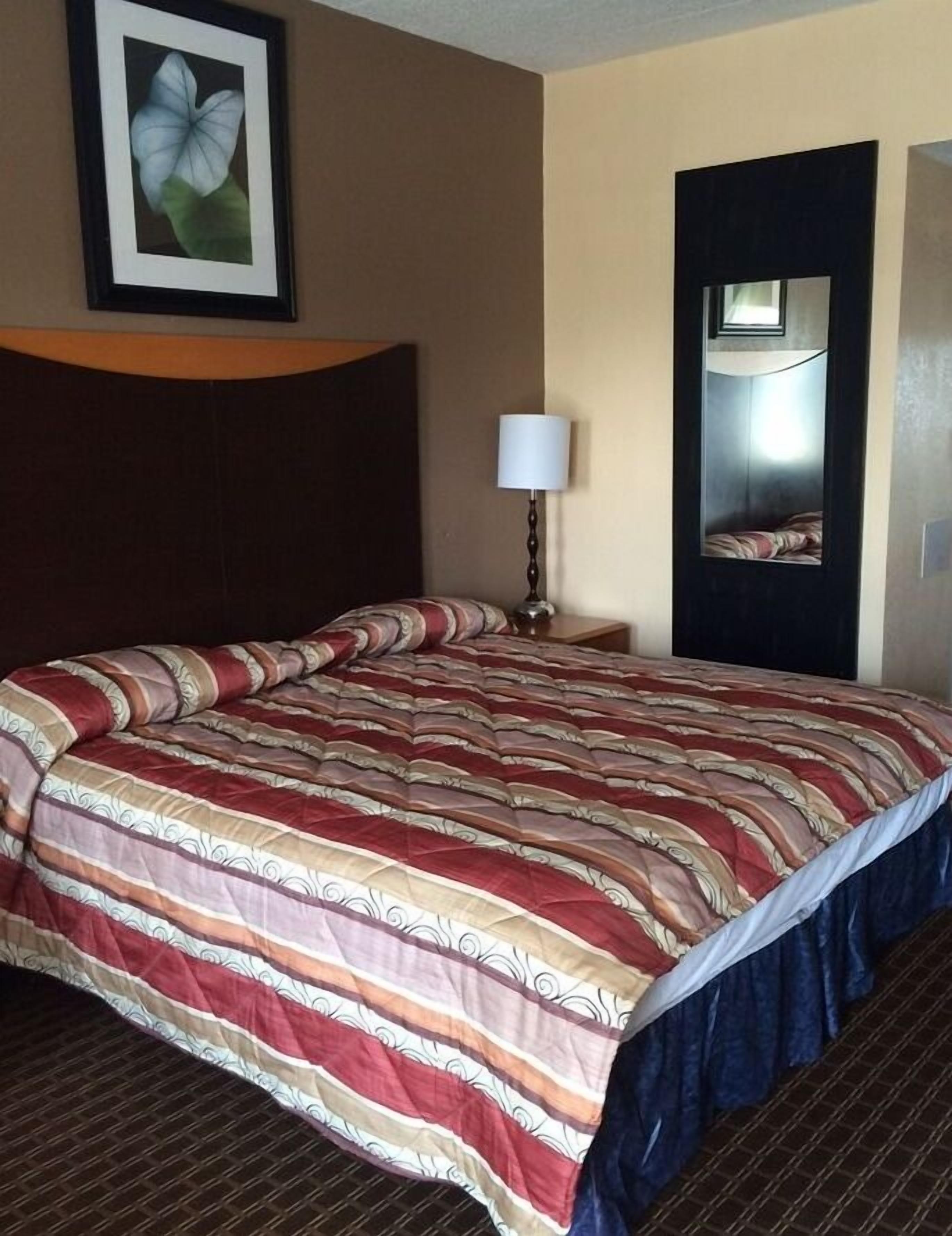 A hotel room with a large bed, a nightstand with a lamp, a framed picture on the wall, and a mirror on the door.