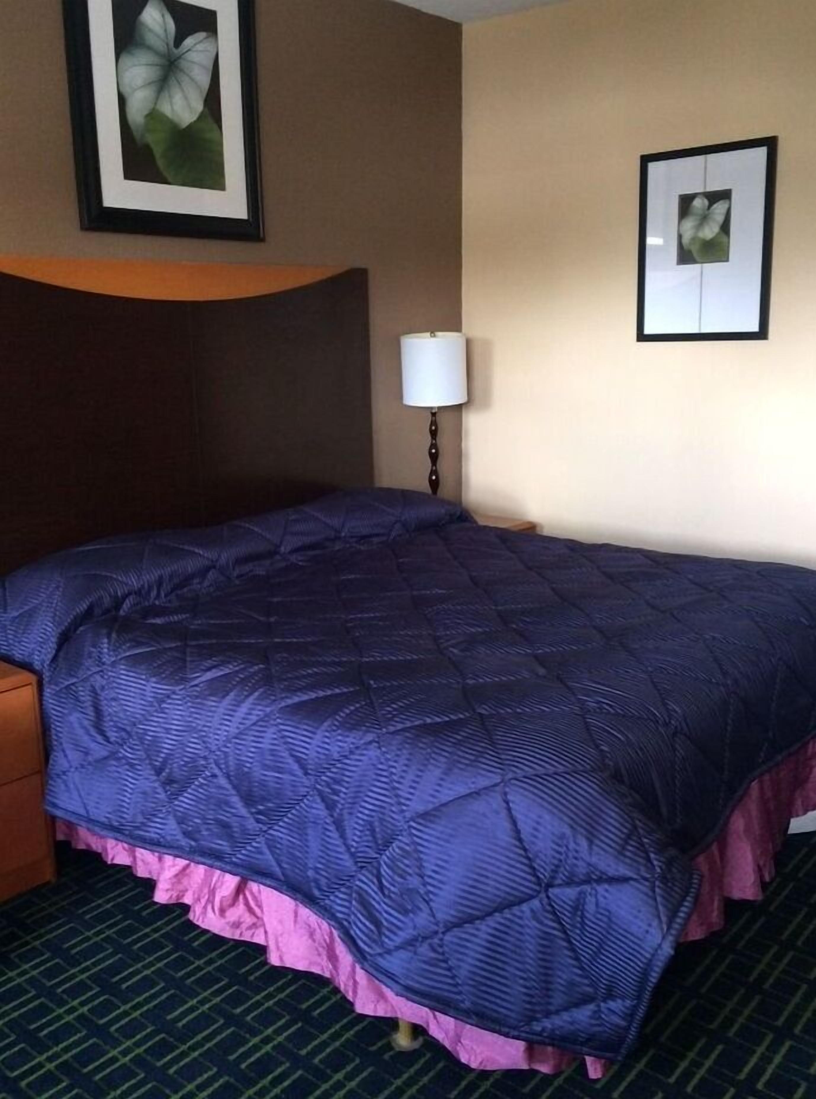Une chambre d’hôtel avec un grand lit, une lampe de chevet et des œuvres d’art encadrées accrochées aux murs.