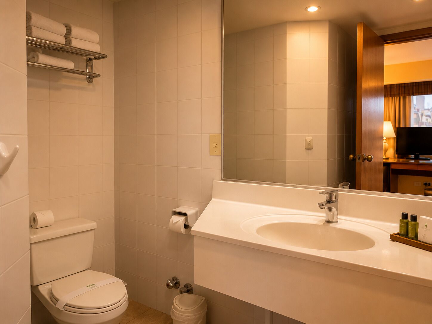 A bathroom with a toilet, sink, and mirror.
