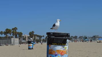 Vlak bij het strand