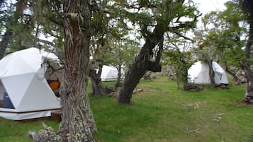 Panoramic Tent, 2 Twin Beds | Garden view
