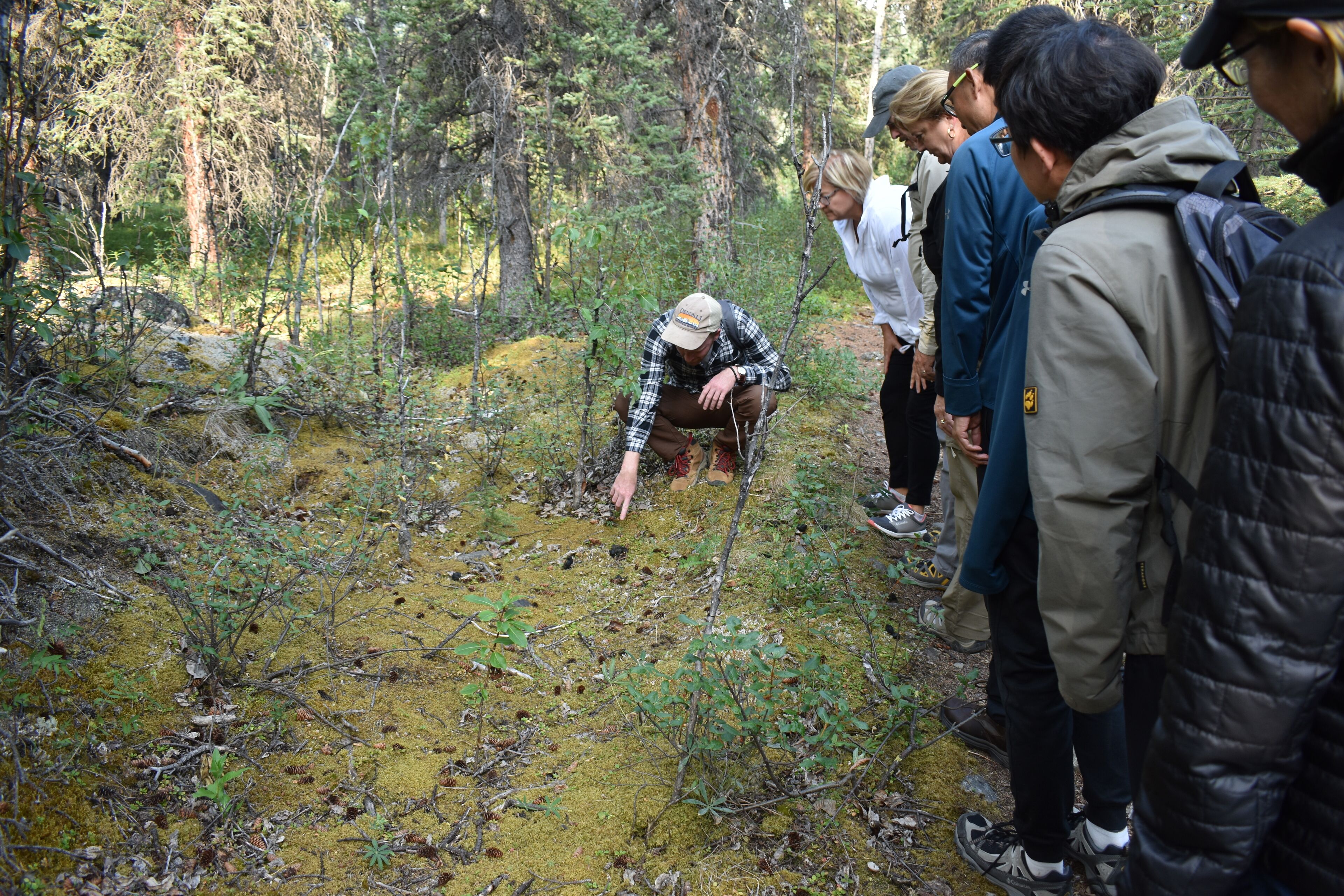 A group of people in a forested area with mossy ground and trees.
