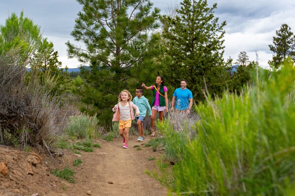 A group of people walking on a dirt path surrounded by greenery and trees.