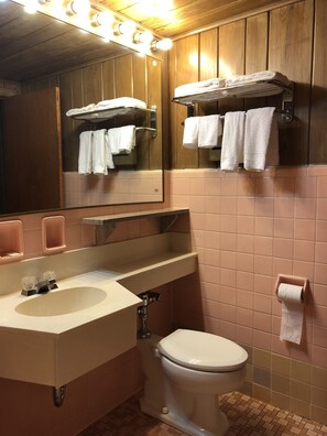 A bathroom with a sink, mirror, and two towel racks. - Lincoln Lodge (Urbana)