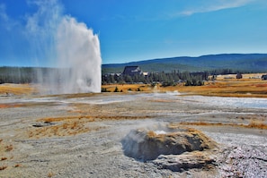 A geyser in a natural setting with a lodge in the background.