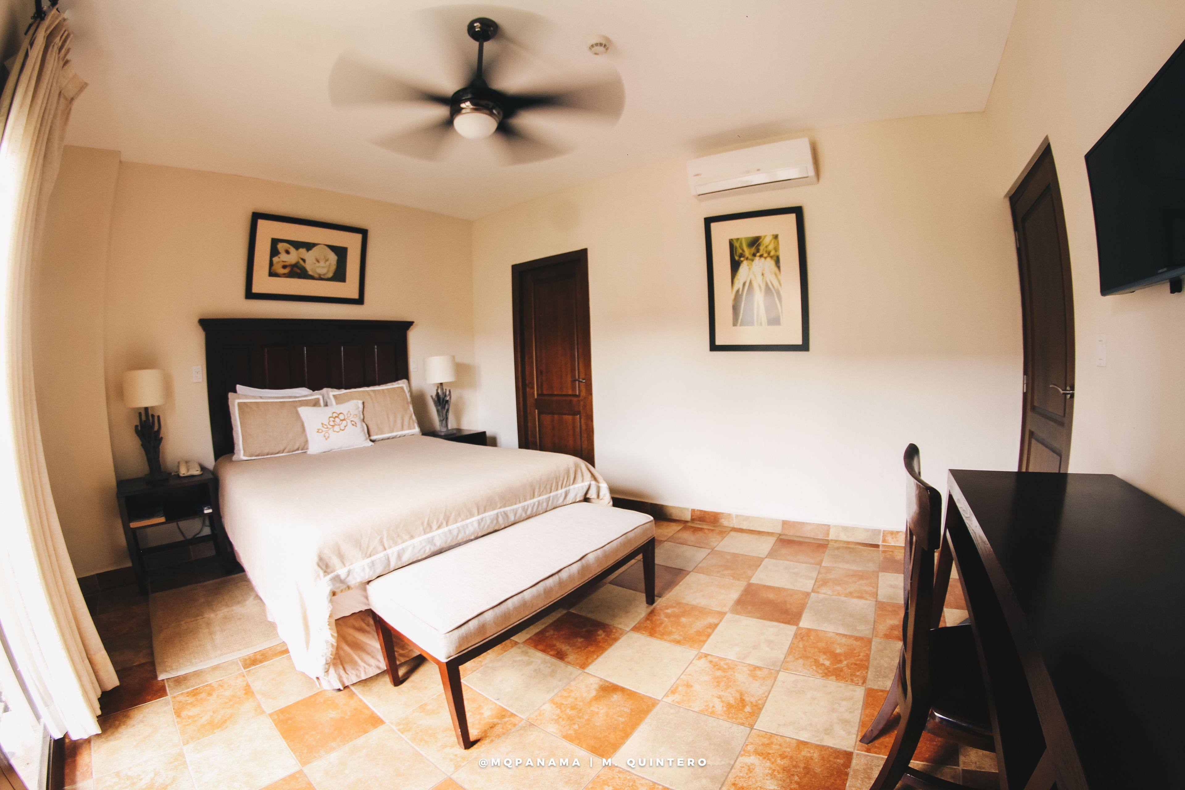 standard room, 1 queen bed | view from room