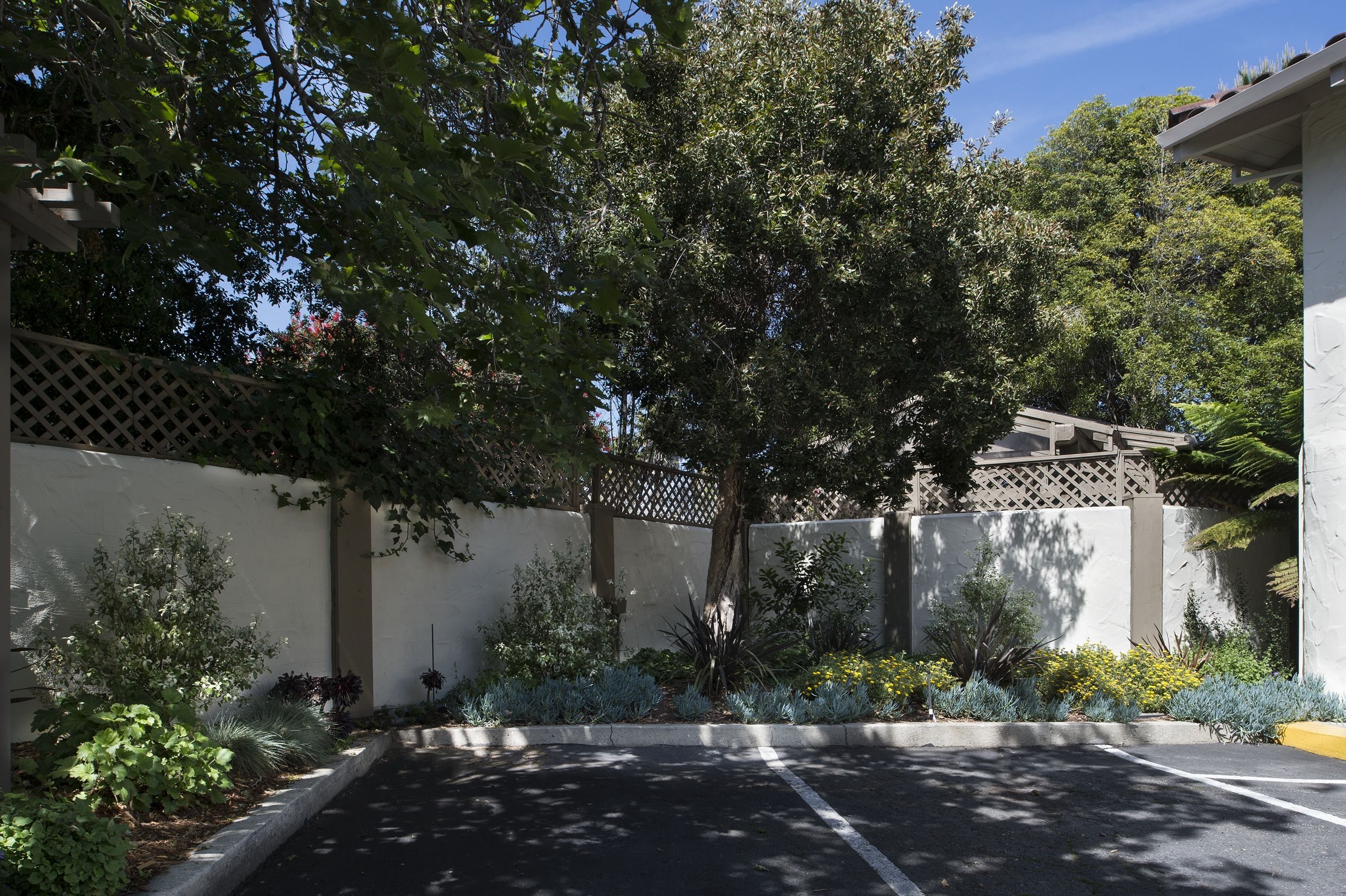 A parking area with a white fence, trees, and various plants.