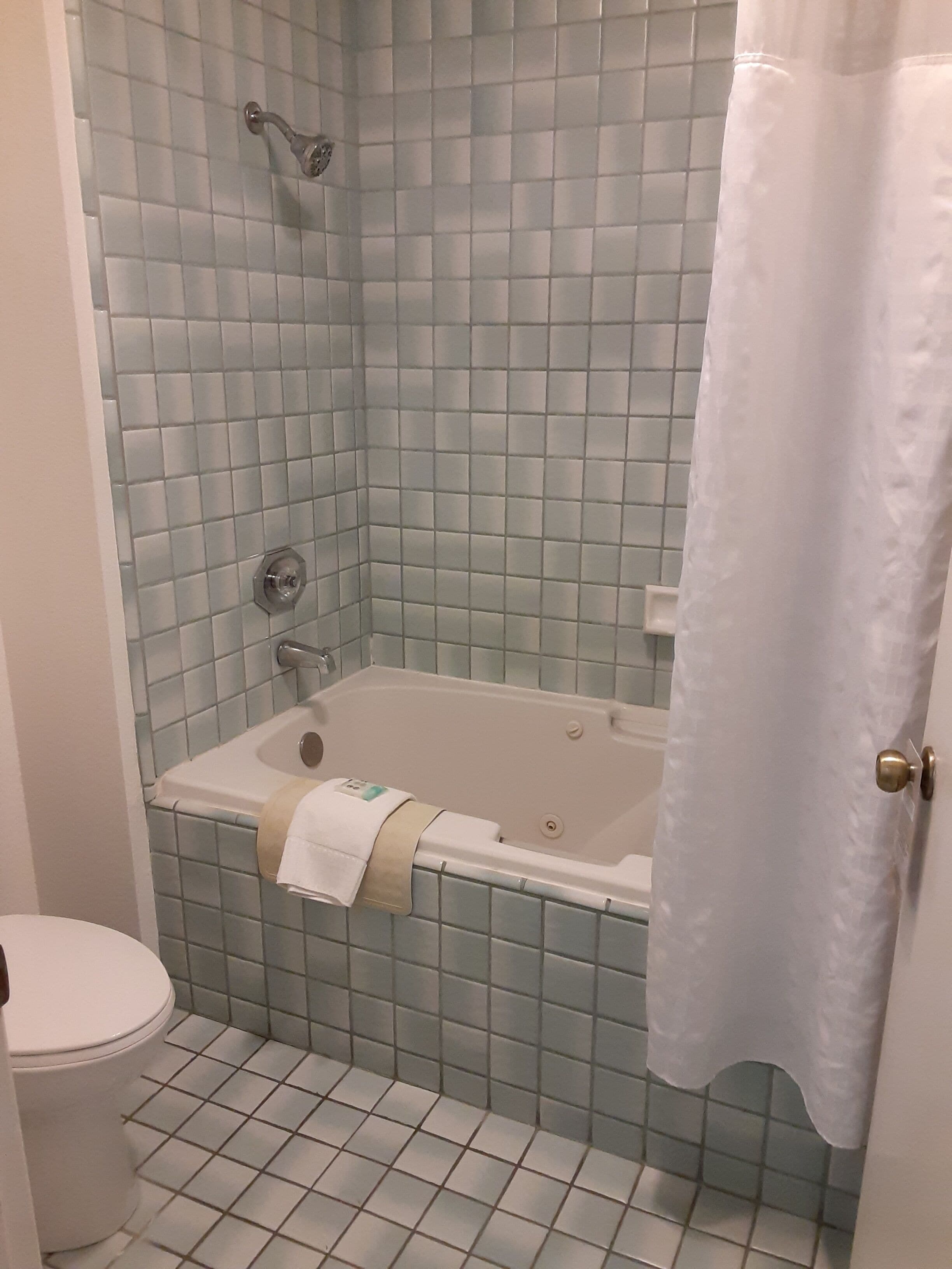 A bathroom with a bathtub, a toilet, and a shower curtain.