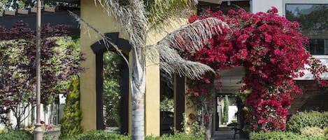 Front of property