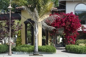 A building with a yellow facade, a covered outdoor area with a palm tree, and a large flowering bush. - Mission Inn (Santa Cruz)
