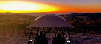 The Eden House Vineyard & Inn