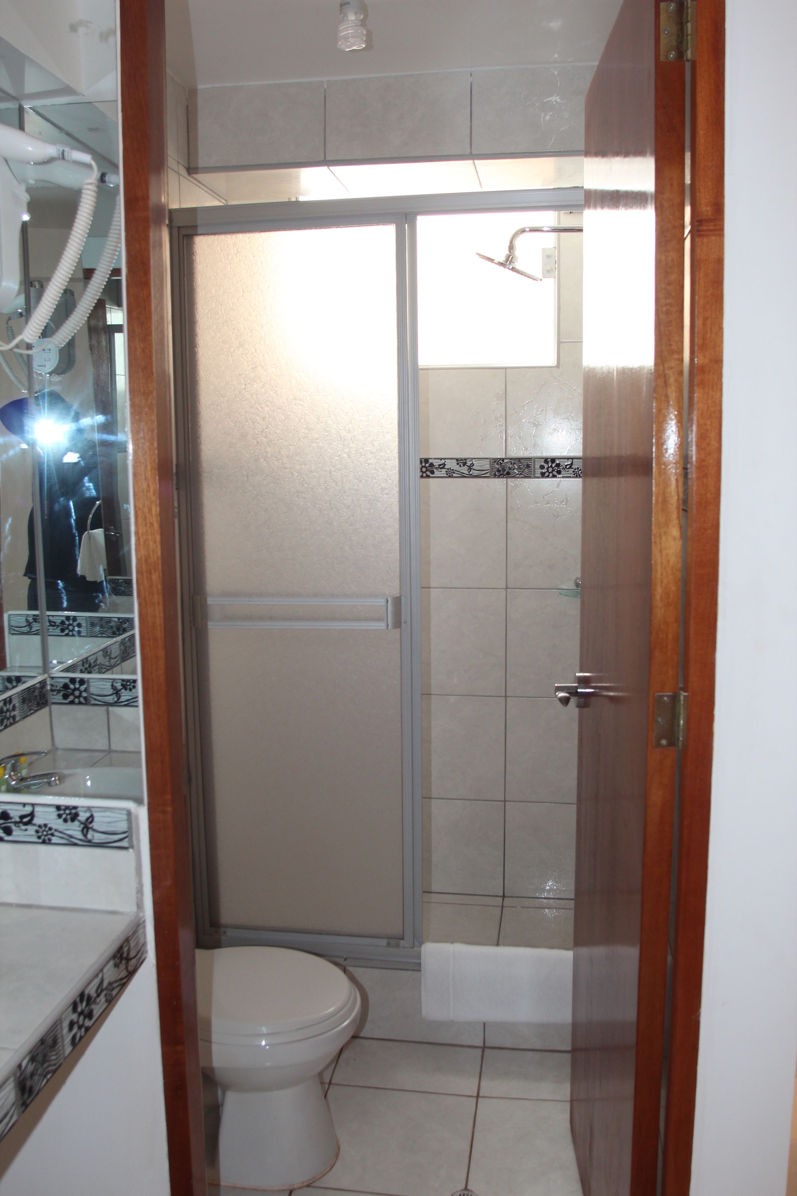 A bathroom with a toilet, a shower, and a glass door.