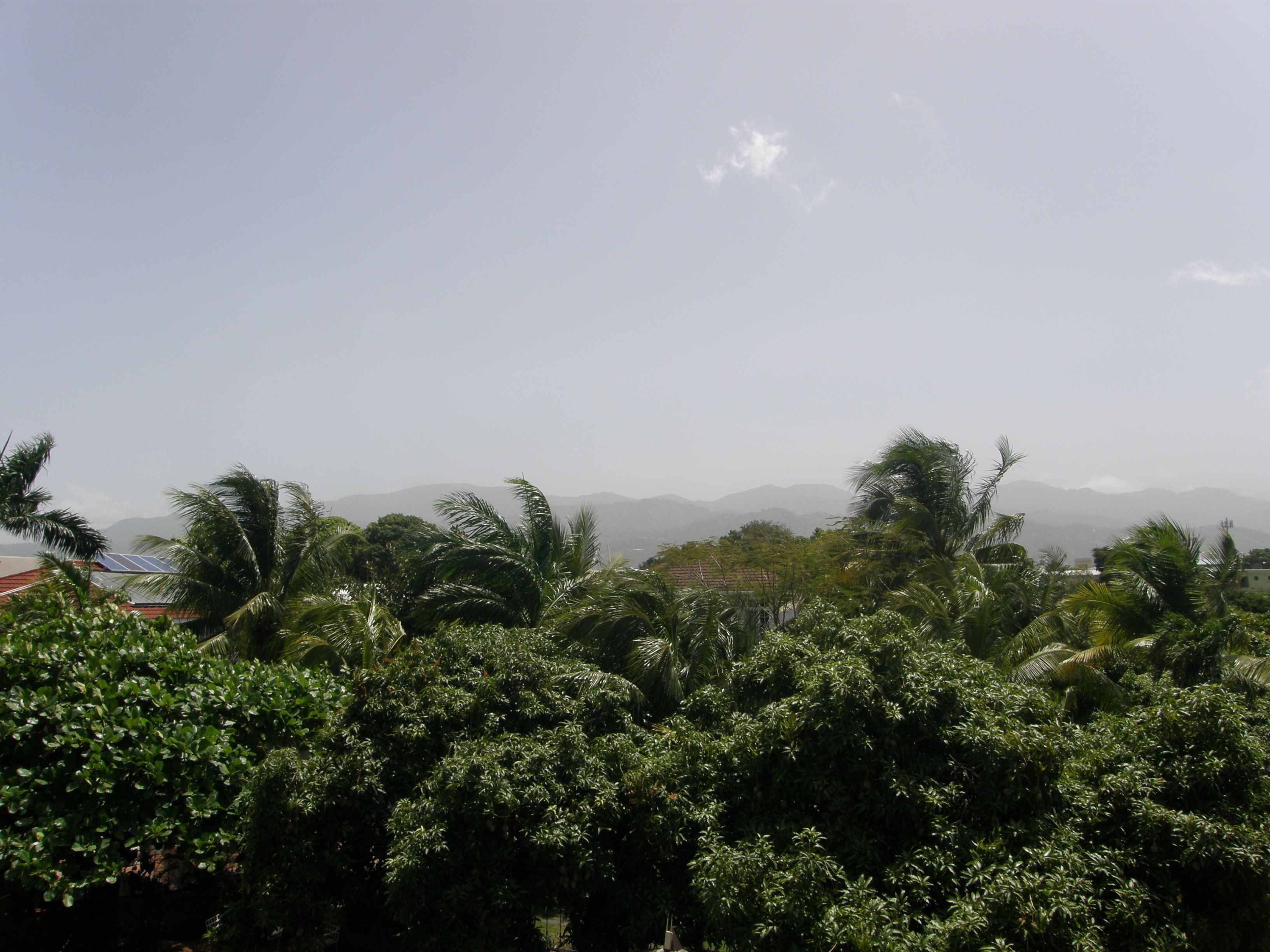 A tropical landscape with dense greenery and distant mountains.
