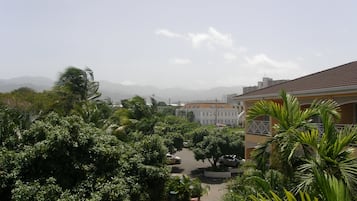 A courtyard with lush greenery, a paved walkway, and buildings in the background.