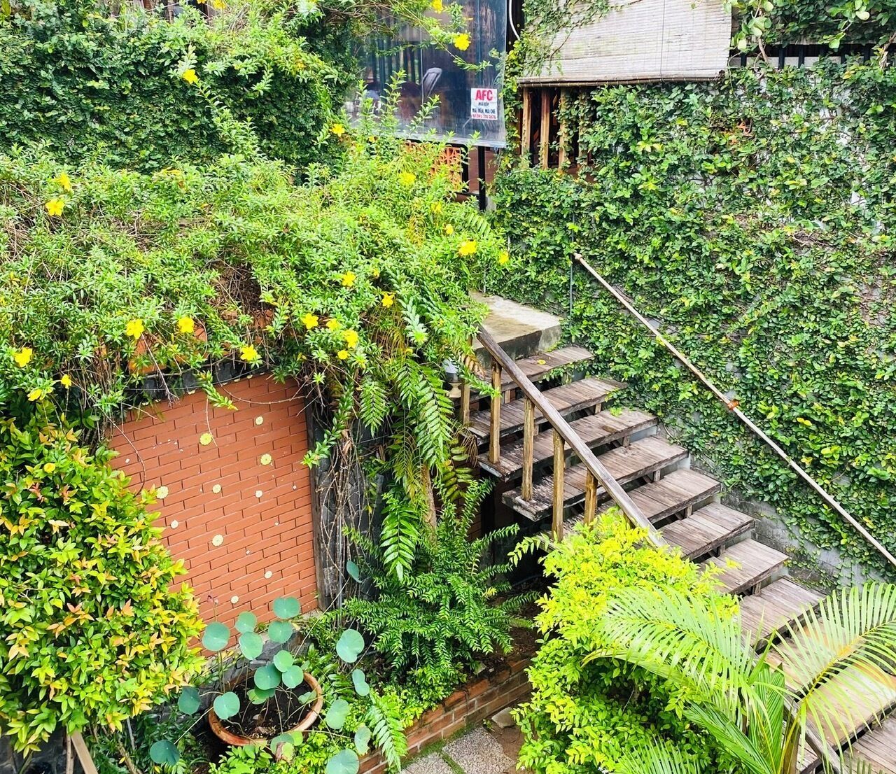 Foto - Dong Xuan Hong Hotel