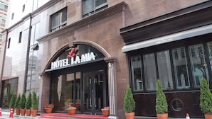 Fachada de hotel con un arco de entrada destacado, ventanas amplias y plantas en macetas a lo largo de la acera.