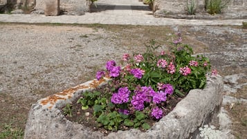 Entrada de la propiedad