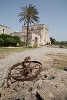 An old building with a palm tree and a rusty wheel in the foreground.